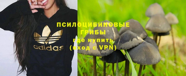 PSILOCYBIN Армянск