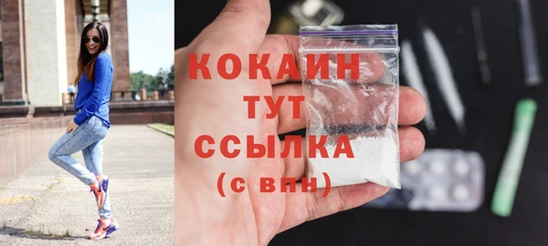 твердый Осташков
