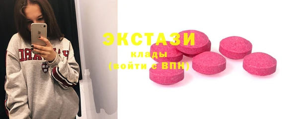 хмурый Пересвет