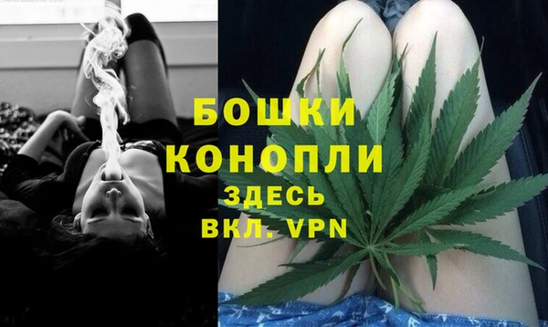 хмурый Пересвет