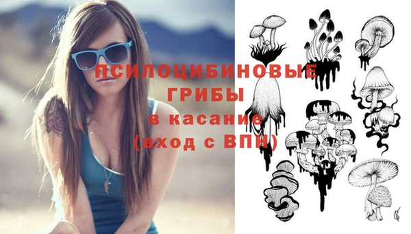 PSILOCYBIN Армянск