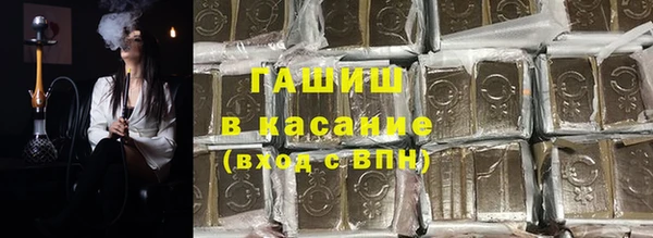 хмурый Пересвет