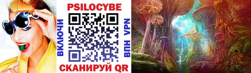 как найти наркотики  Бабушкин  Псилоцибиновые грибы Cubensis 